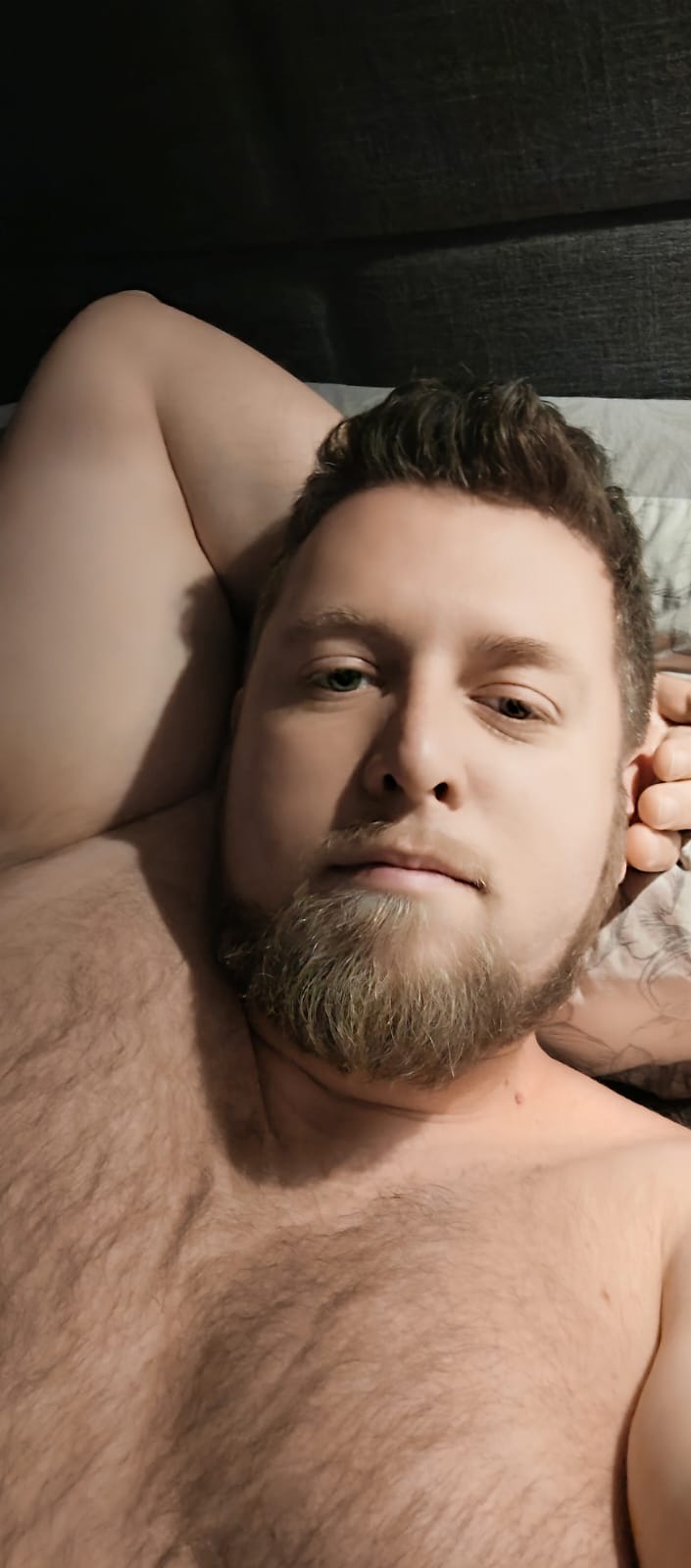 Profil de Charles-victor, 39 ans, Baise gay à Frutigen