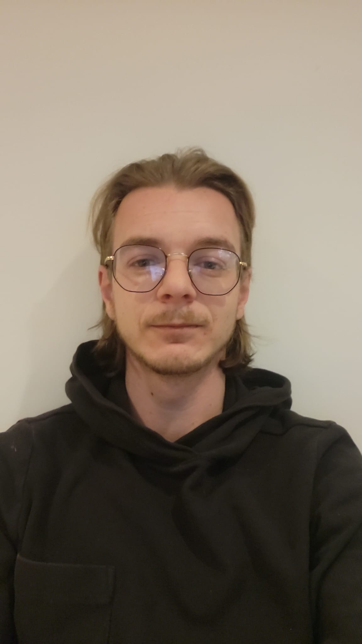 Profil de Sylian, 30 ans, Baise gay à Mex VD